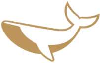 Mortgage Fund Capital symbol